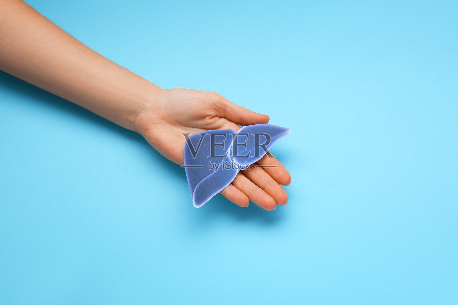 女人拿着纸肝，浅蓝色背景，特写和文字的空间。肝炎治疗照片摄影图片