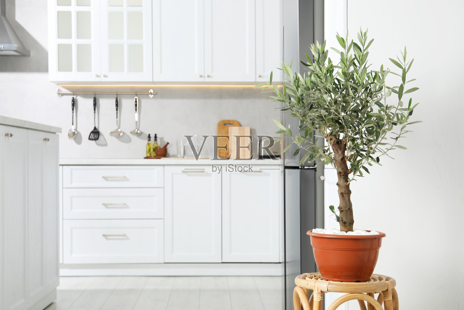 美丽的盆栽橄榄树在时尚的厨房照片摄影图片