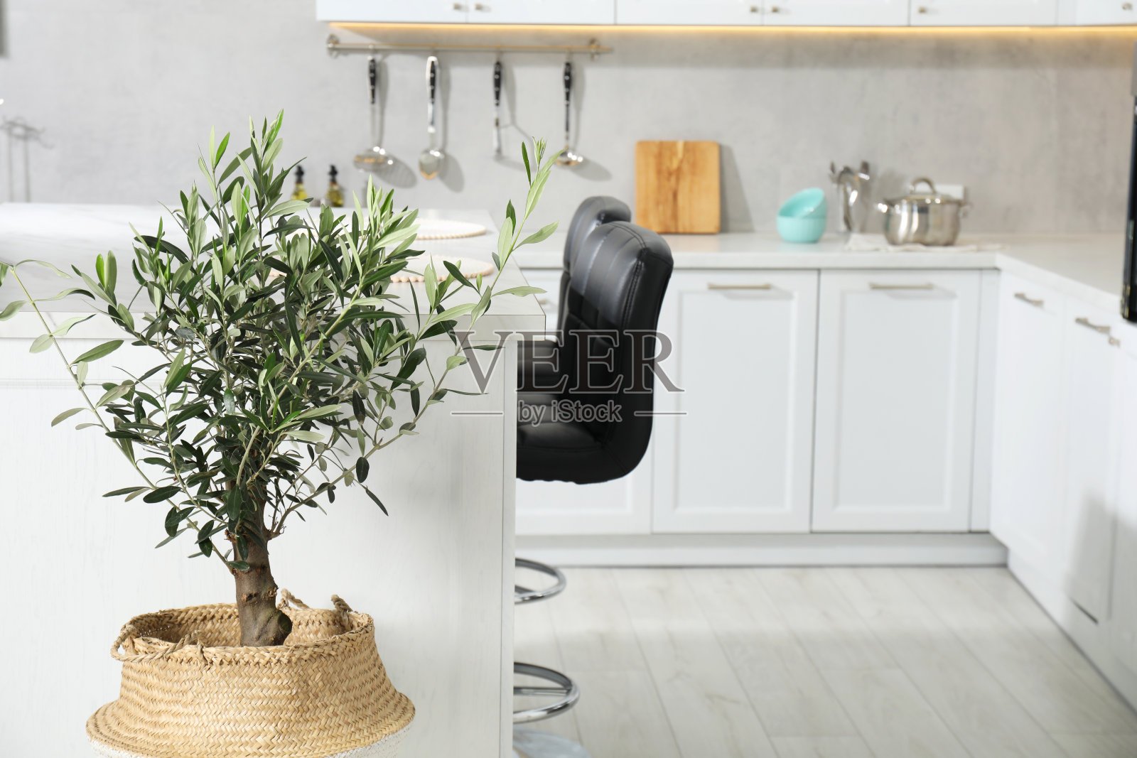 美丽的盆栽橄榄树在时尚的厨房照片摄影图片