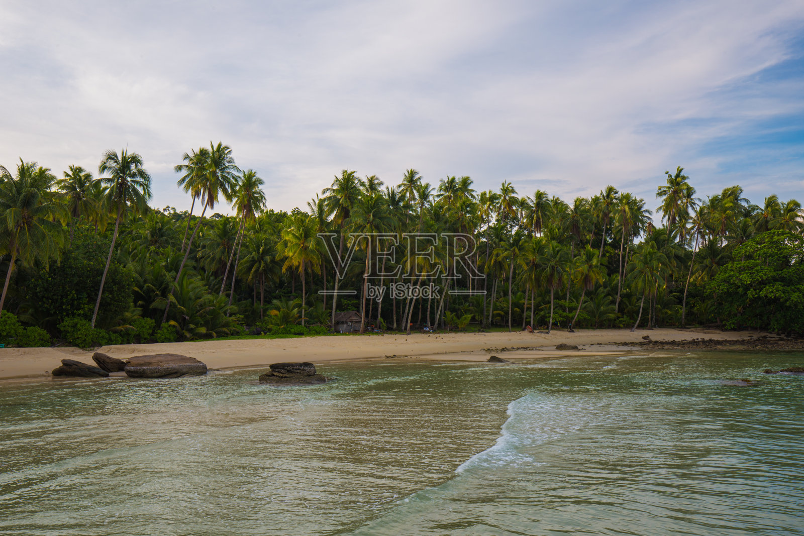 海岛海边椰子树映着蓝天白云照片摄影图片