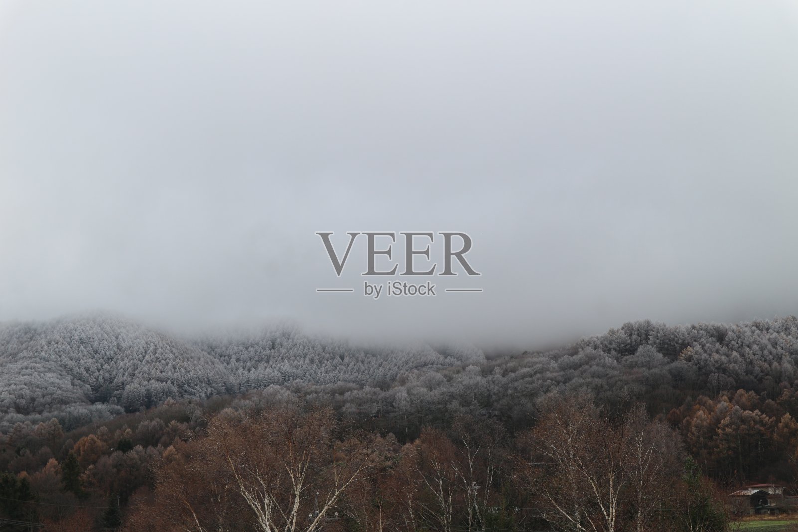 在日本长野县的一个雪天里，山和美丽的秋天离开了照片摄影图片