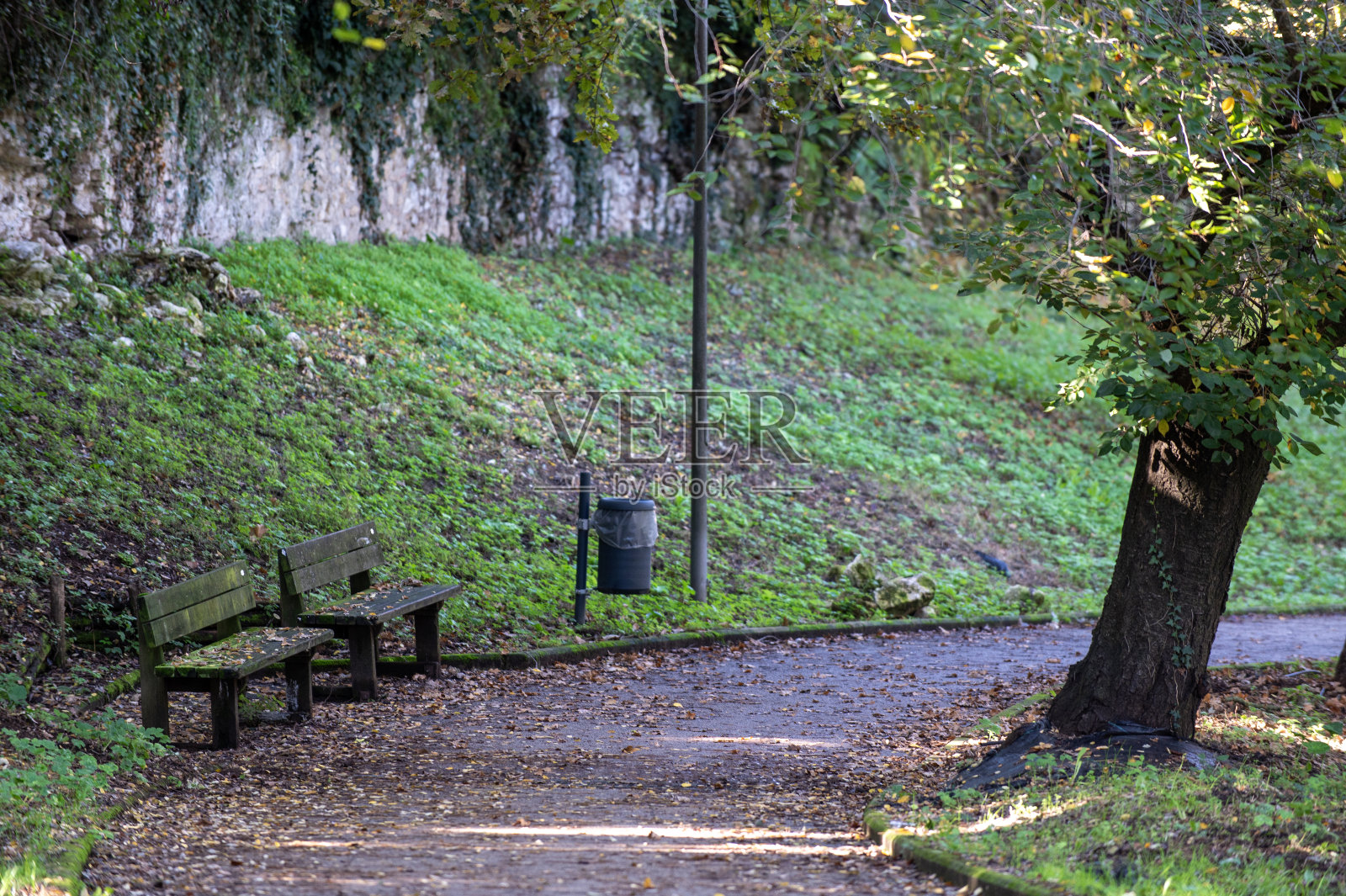 Panchine sul parco照片摄影图片