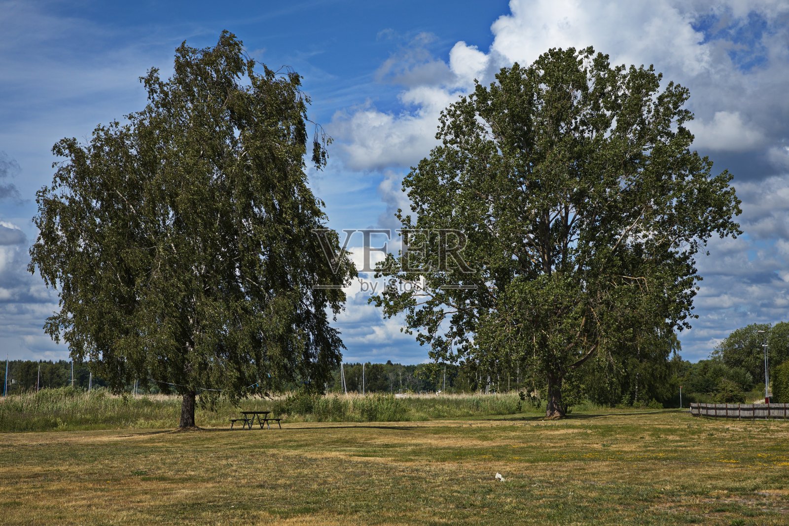 在欧洲瑞典，Södermanland, Trosa南部的徒步小径上休息照片摄影图片
