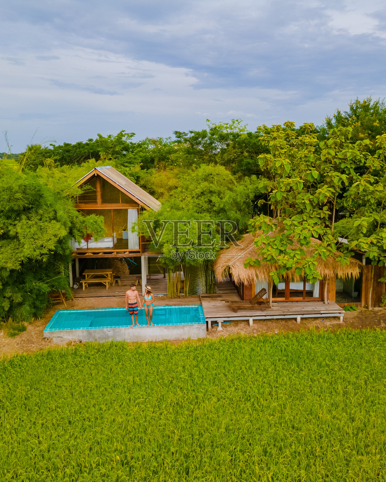 泰国中部素番武里地区的绿色稻田照片摄影图片