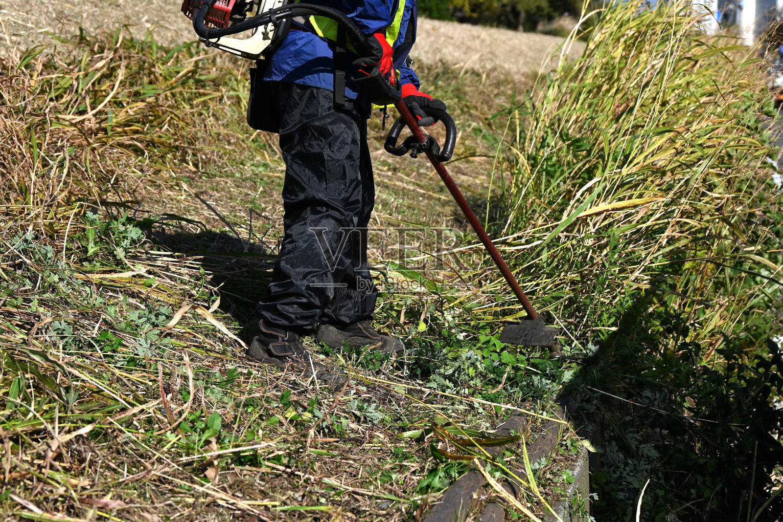 河岸上割草的景象。照片摄影图片