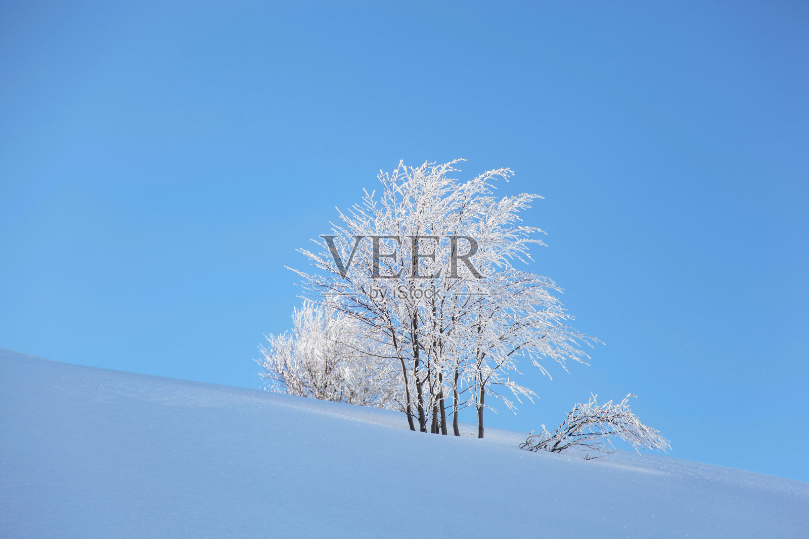 冬季的冰树乌卢达格山顶照片，乌卢达格国家公园，土耳其(土耳其)照片摄影图片