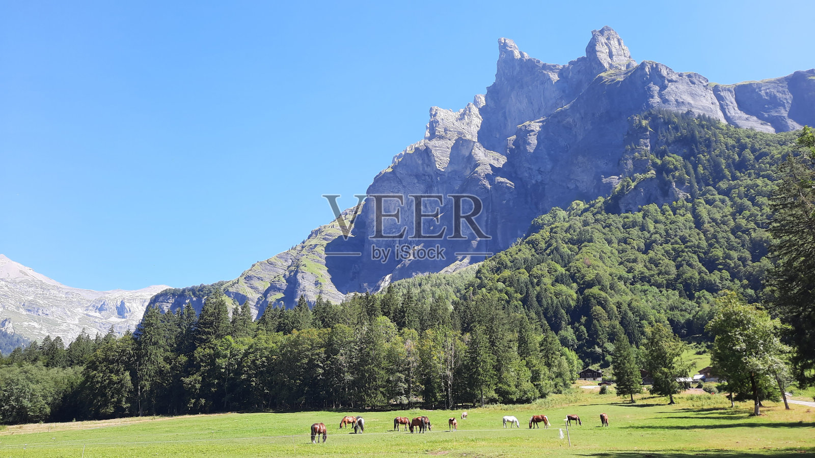 在法国阿尔卑斯山上萨瓦照片摄影图片