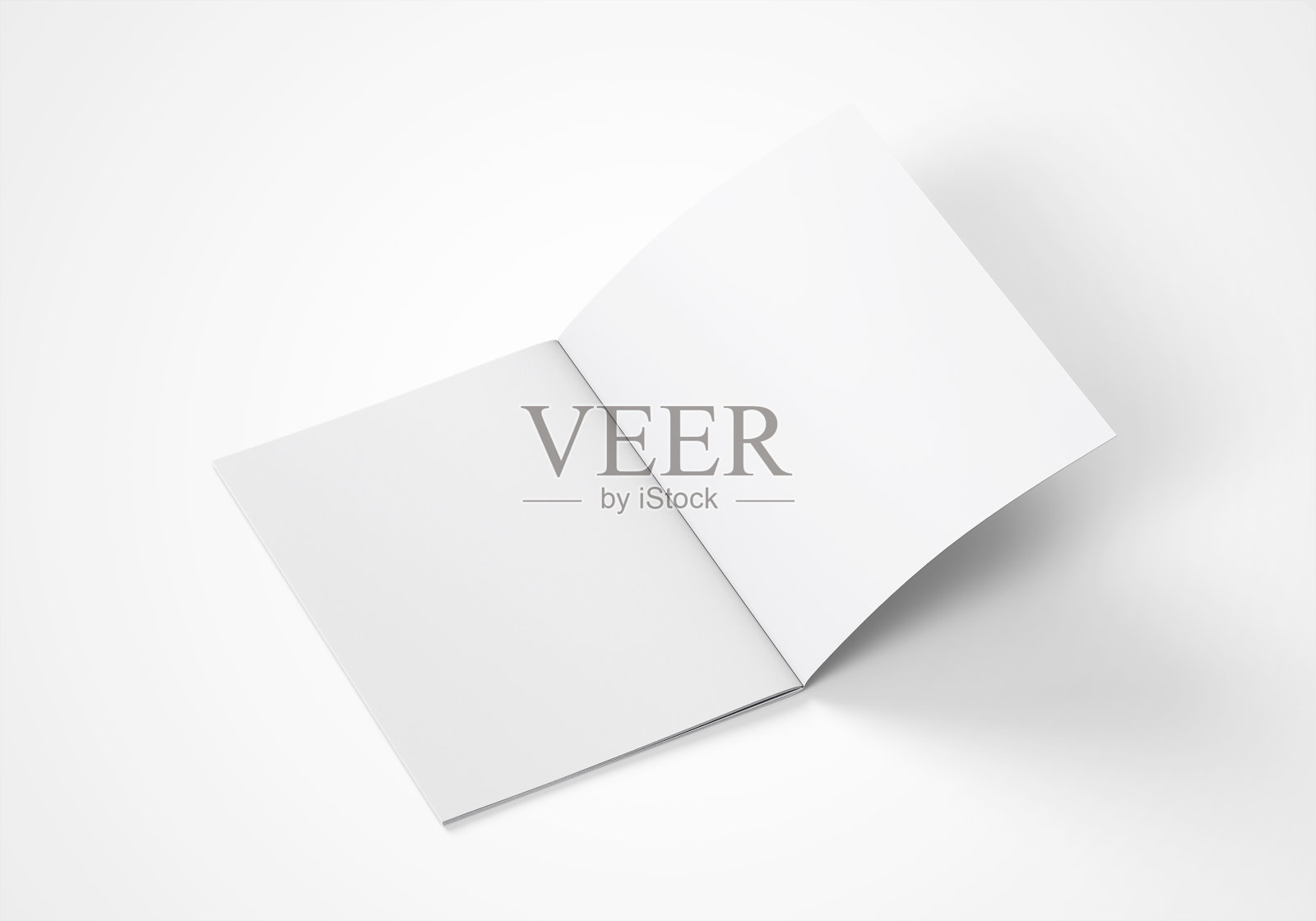 垂直A4宣传册模型3D渲染照片摄影图片