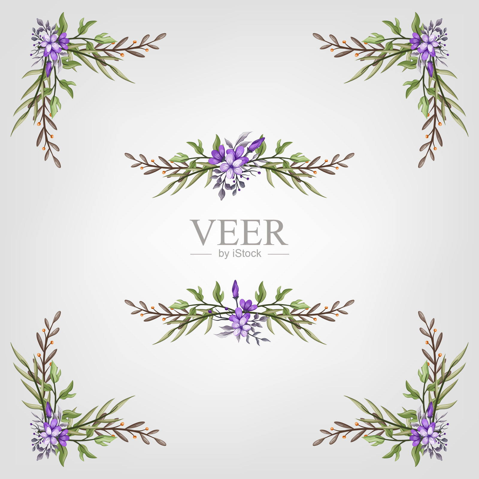 设置植物开花花卉元素。开花植物插画图片素材