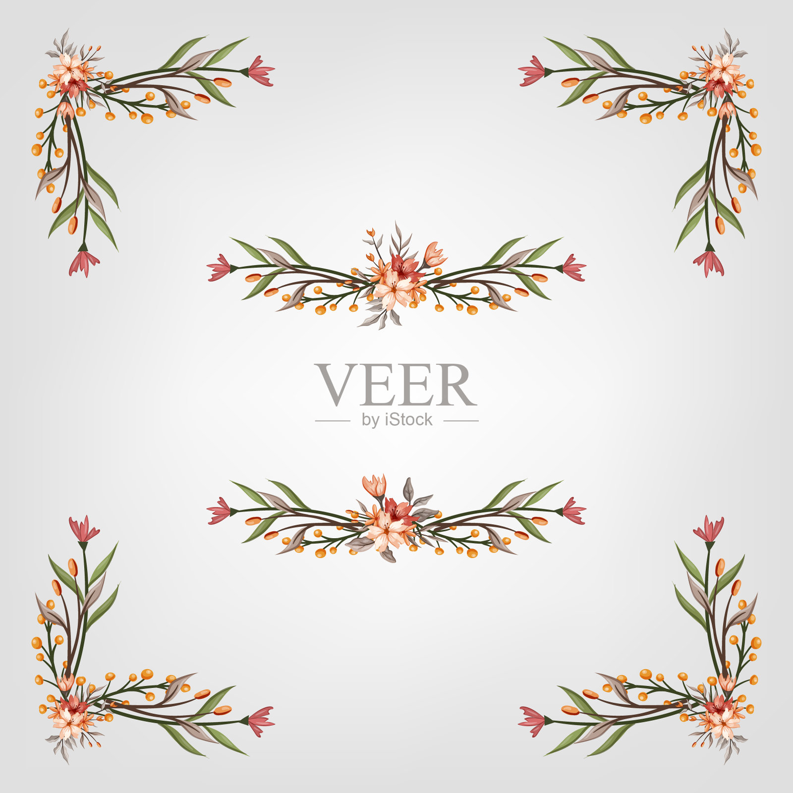 设置植物开花花卉元素。开花植物插画图片素材