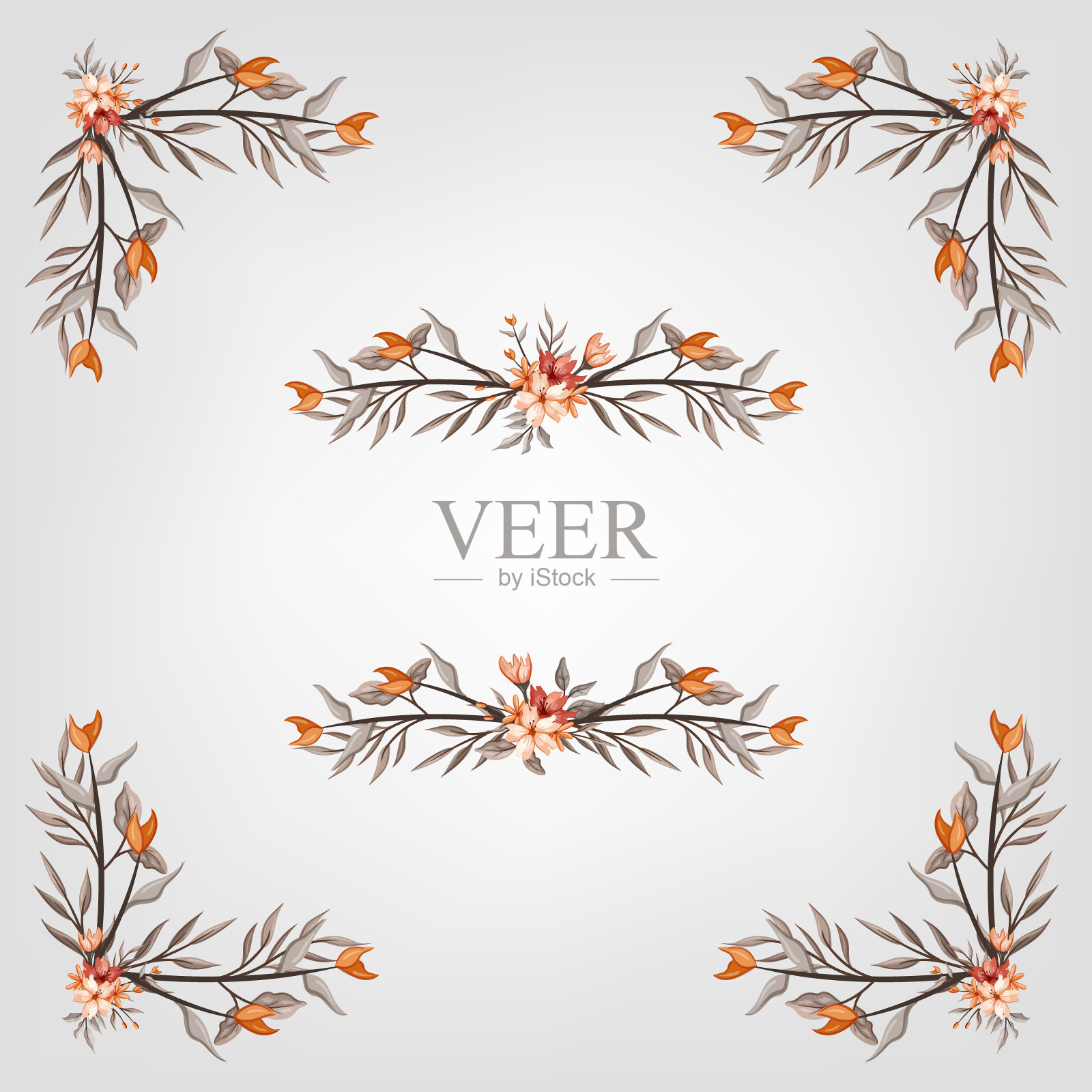 设置植物开花花卉元素。开花植物插画图片素材