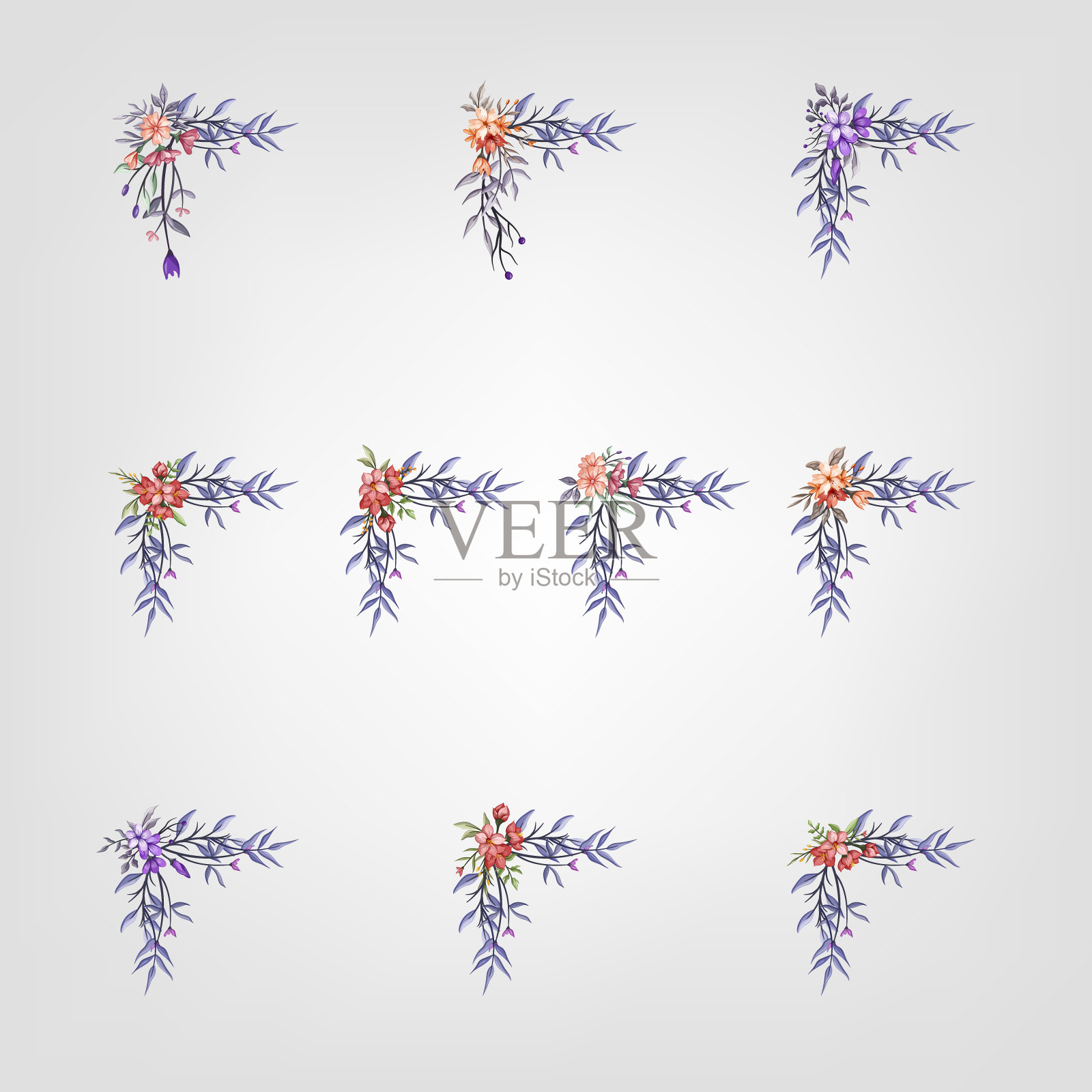 设置植物开花花卉元素。开花植物插画图片素材