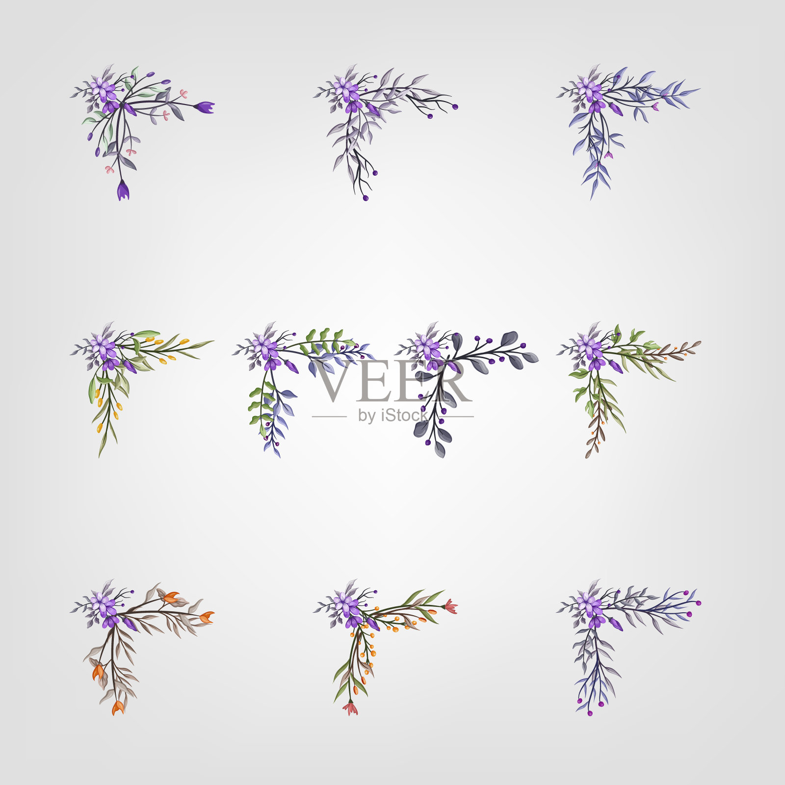 设置植物开花花卉元素。开花植物插画图片素材