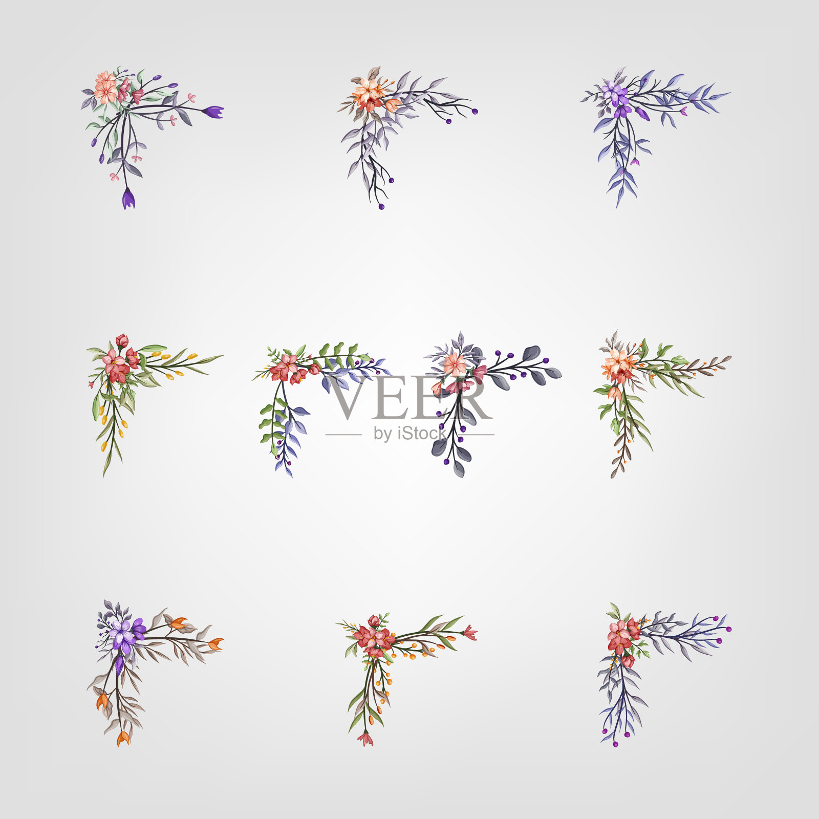 设置植物开花花卉元素。开花植物插画图片素材