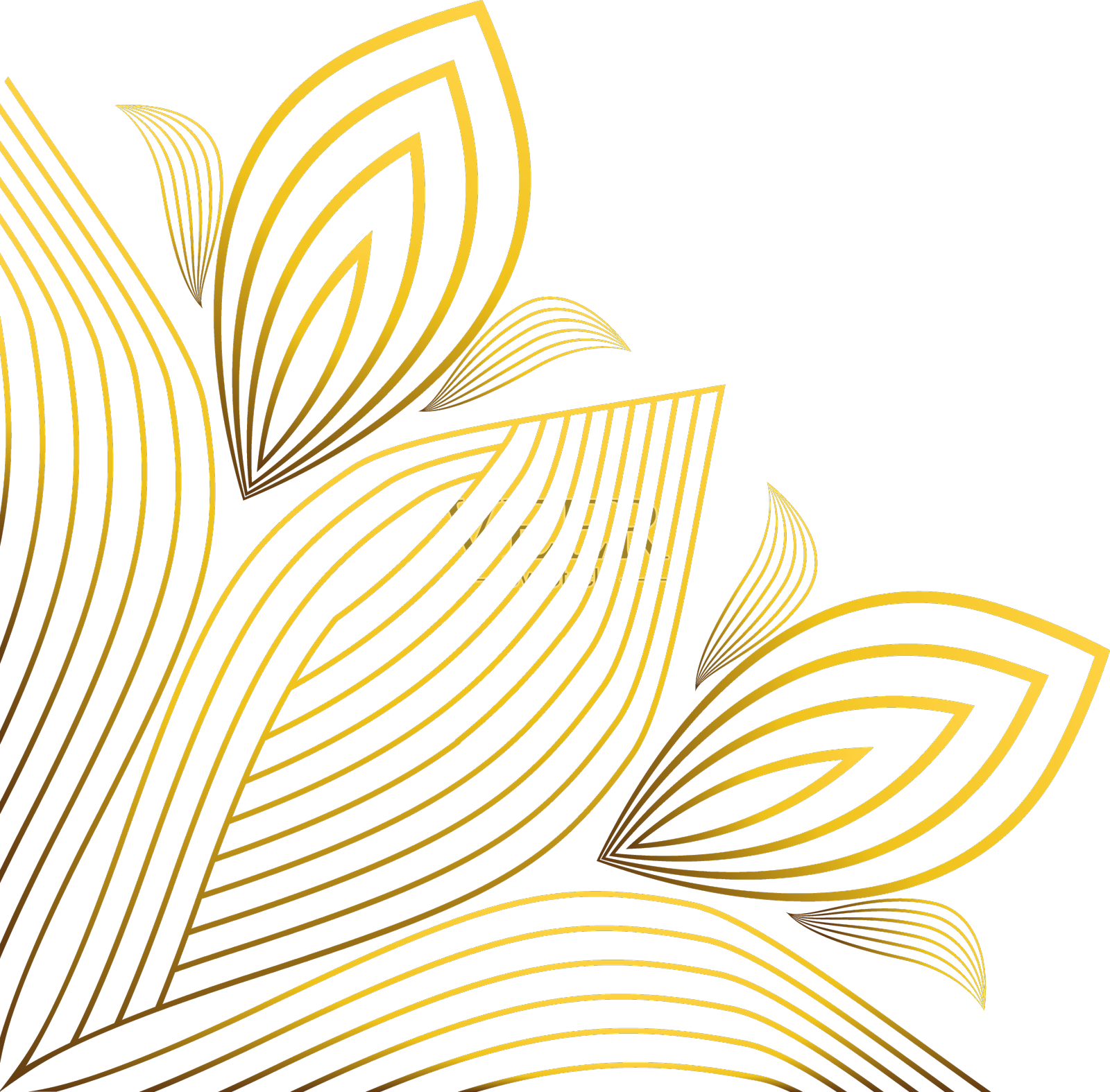 奢华优雅的金色花框边框装饰设计元素图片