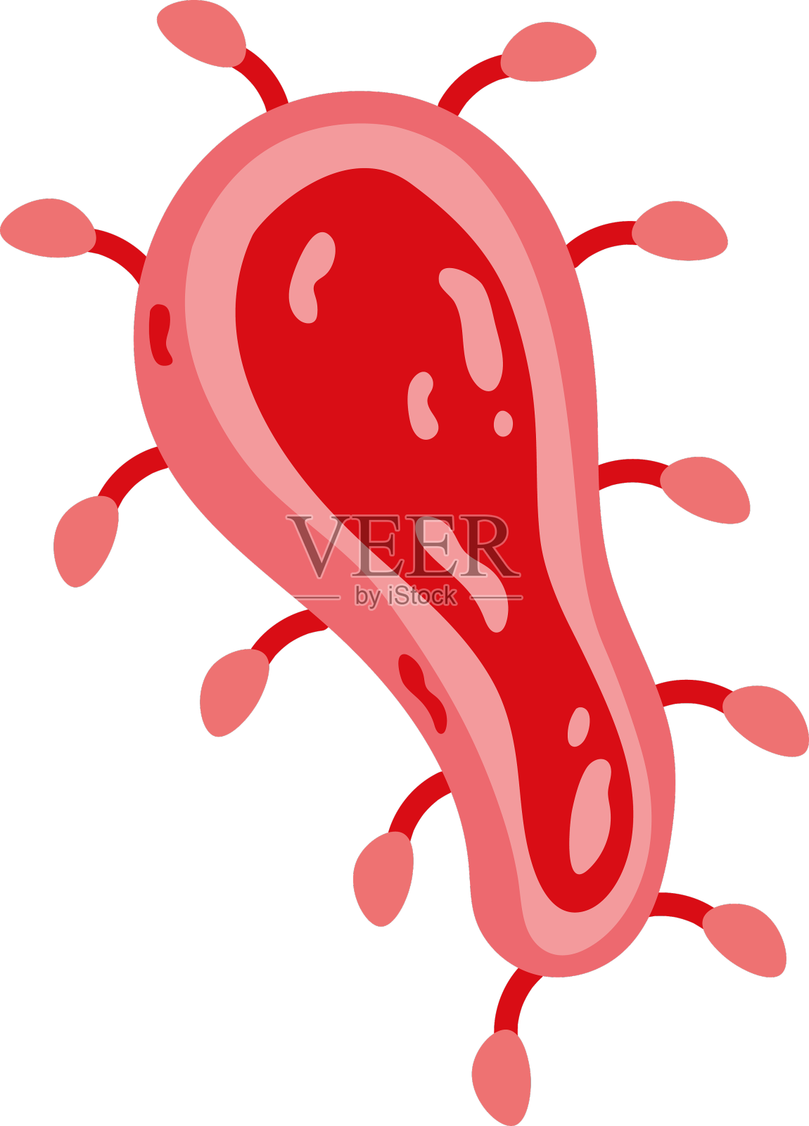尼帕病毒病理学设计元素图片