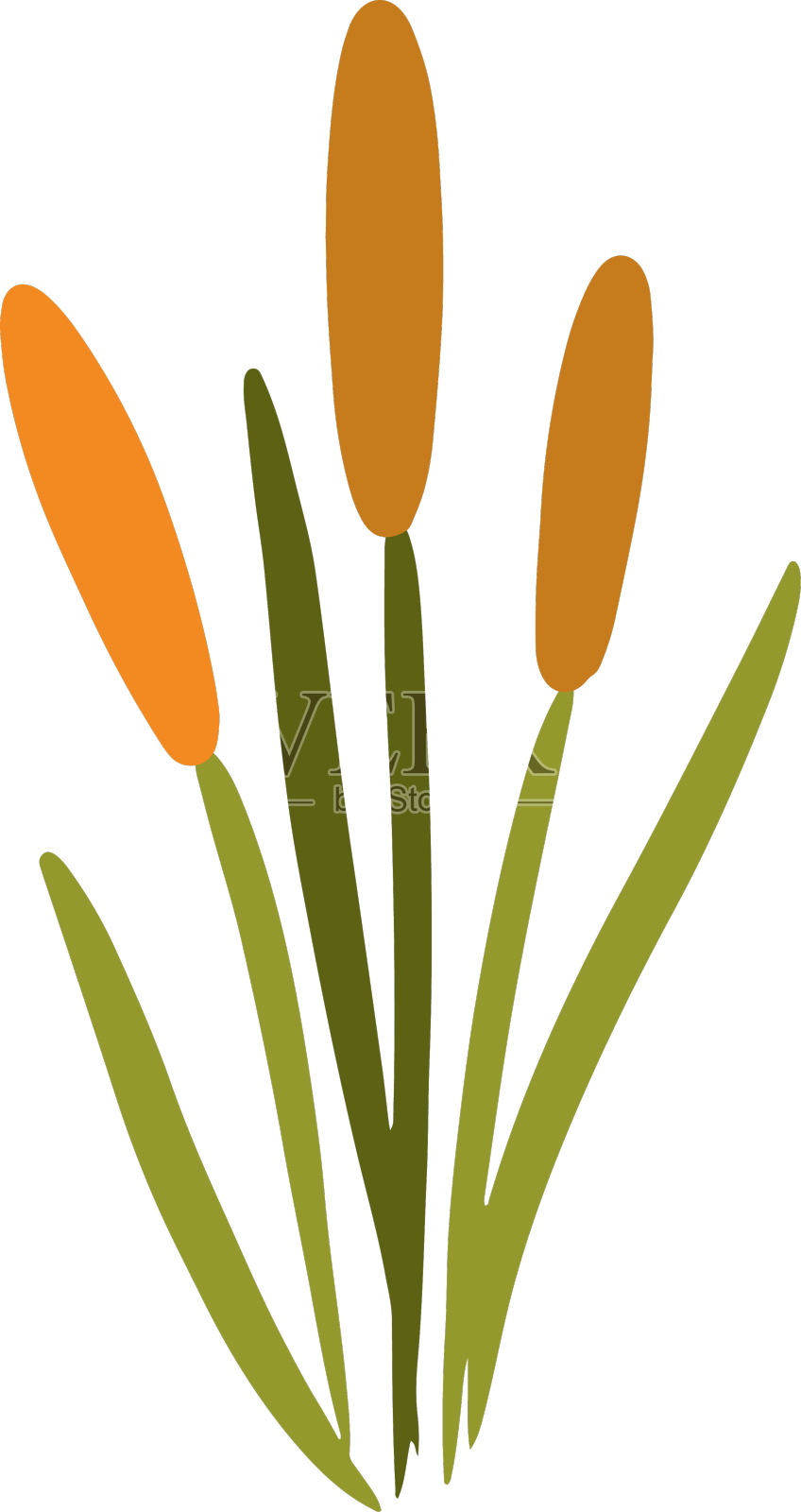 长花园林植物设计元素图片
