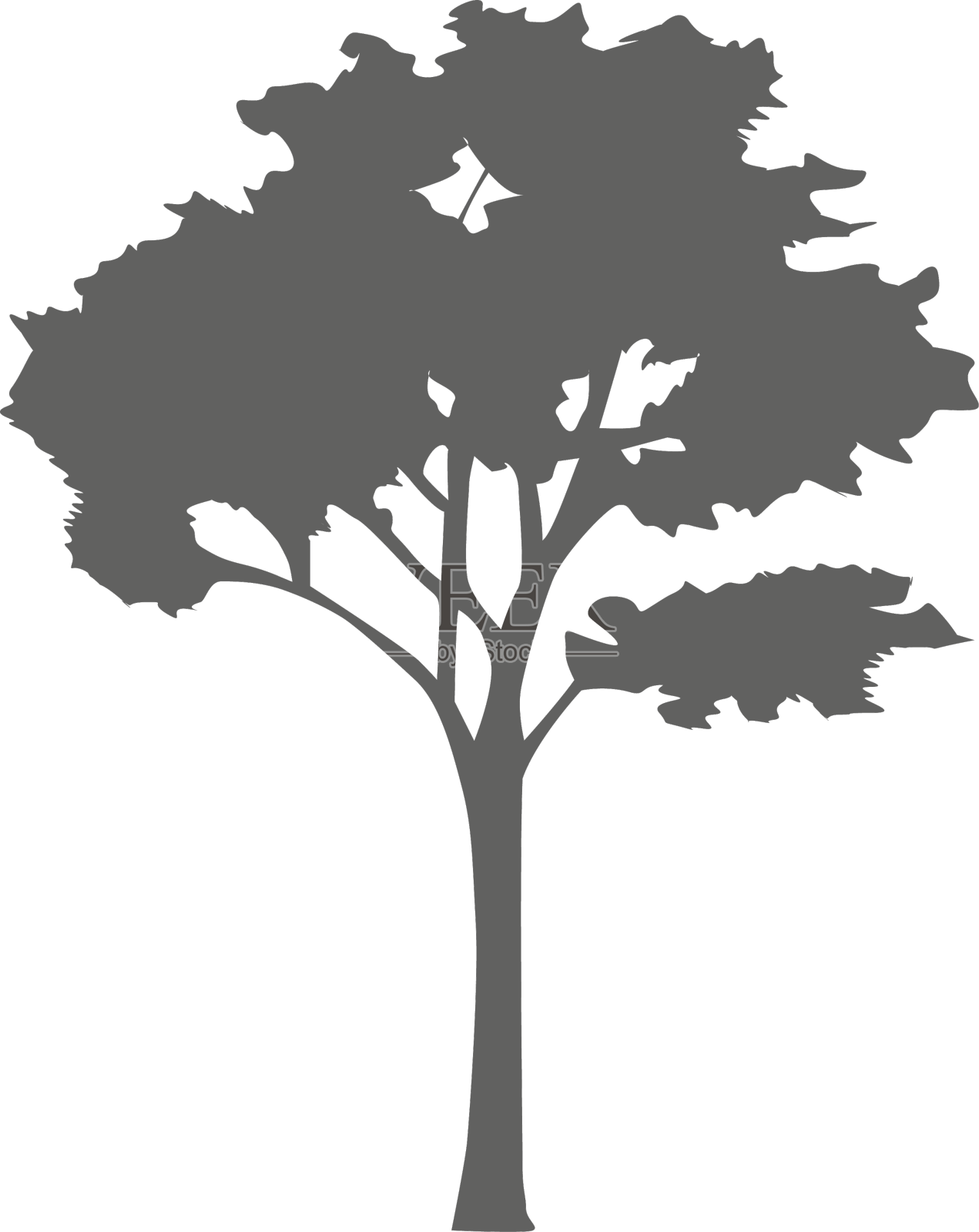 枫树剪影2设计元素图片