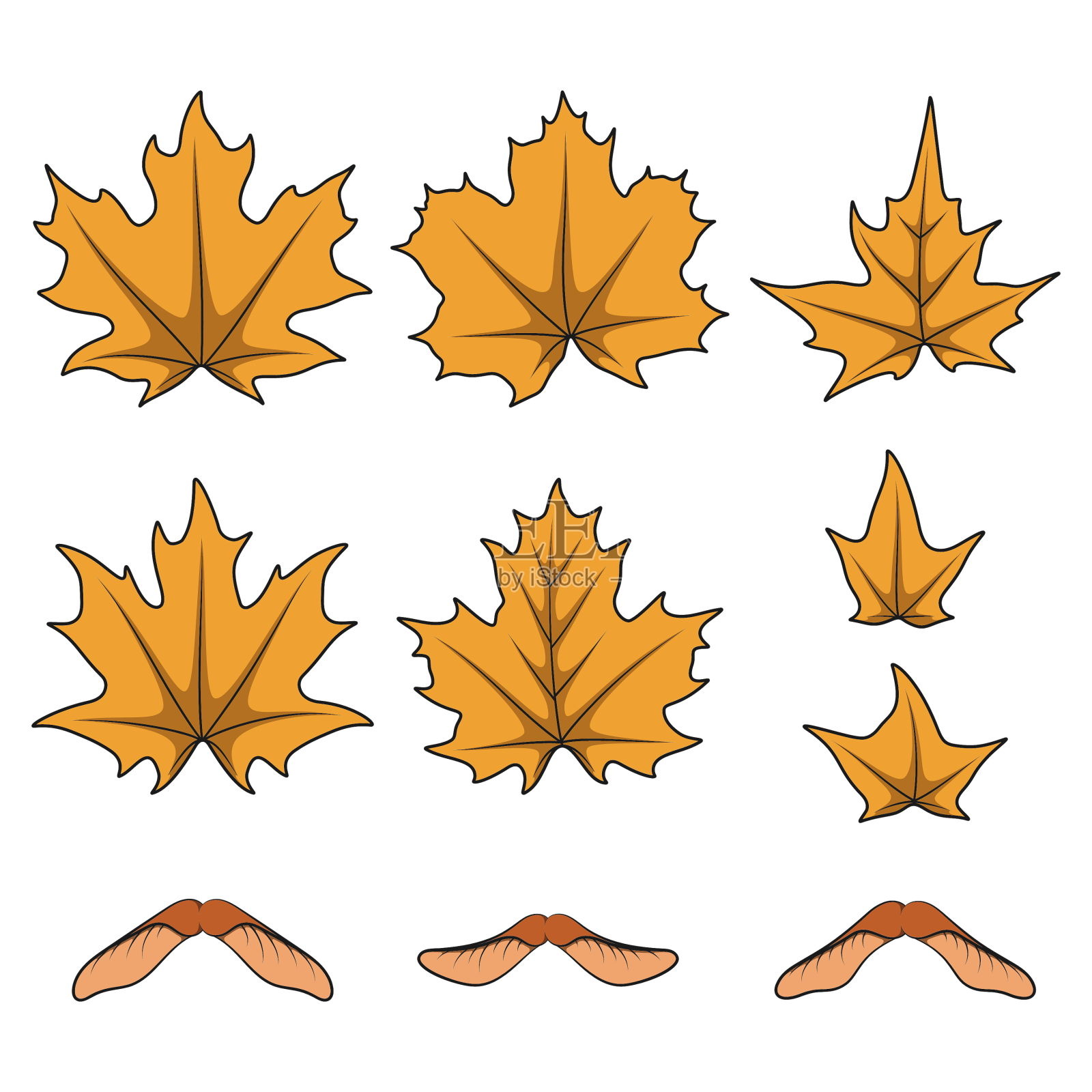 一套秋天的黄色枫叶和种子设计元素图片