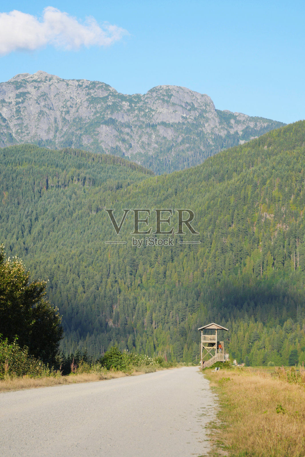 皮特湖 - 格兰特窄口区域公园照片摄影图片