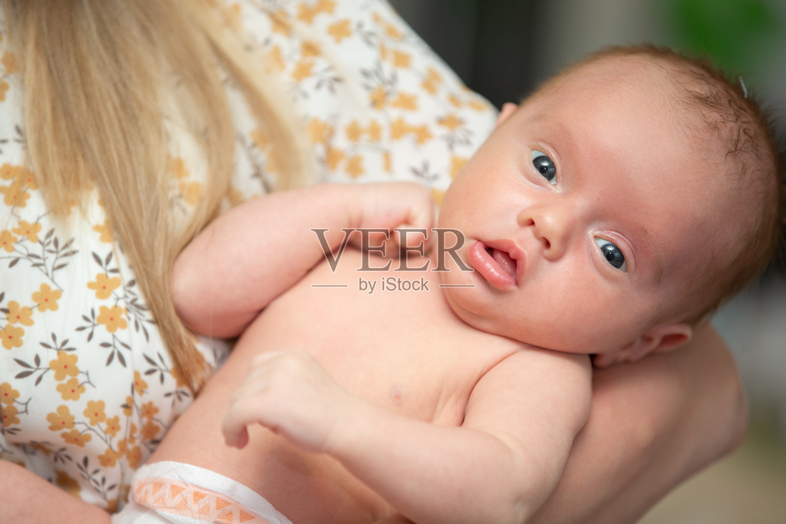 新生儿在母亲怀里的特写。照片摄影图片