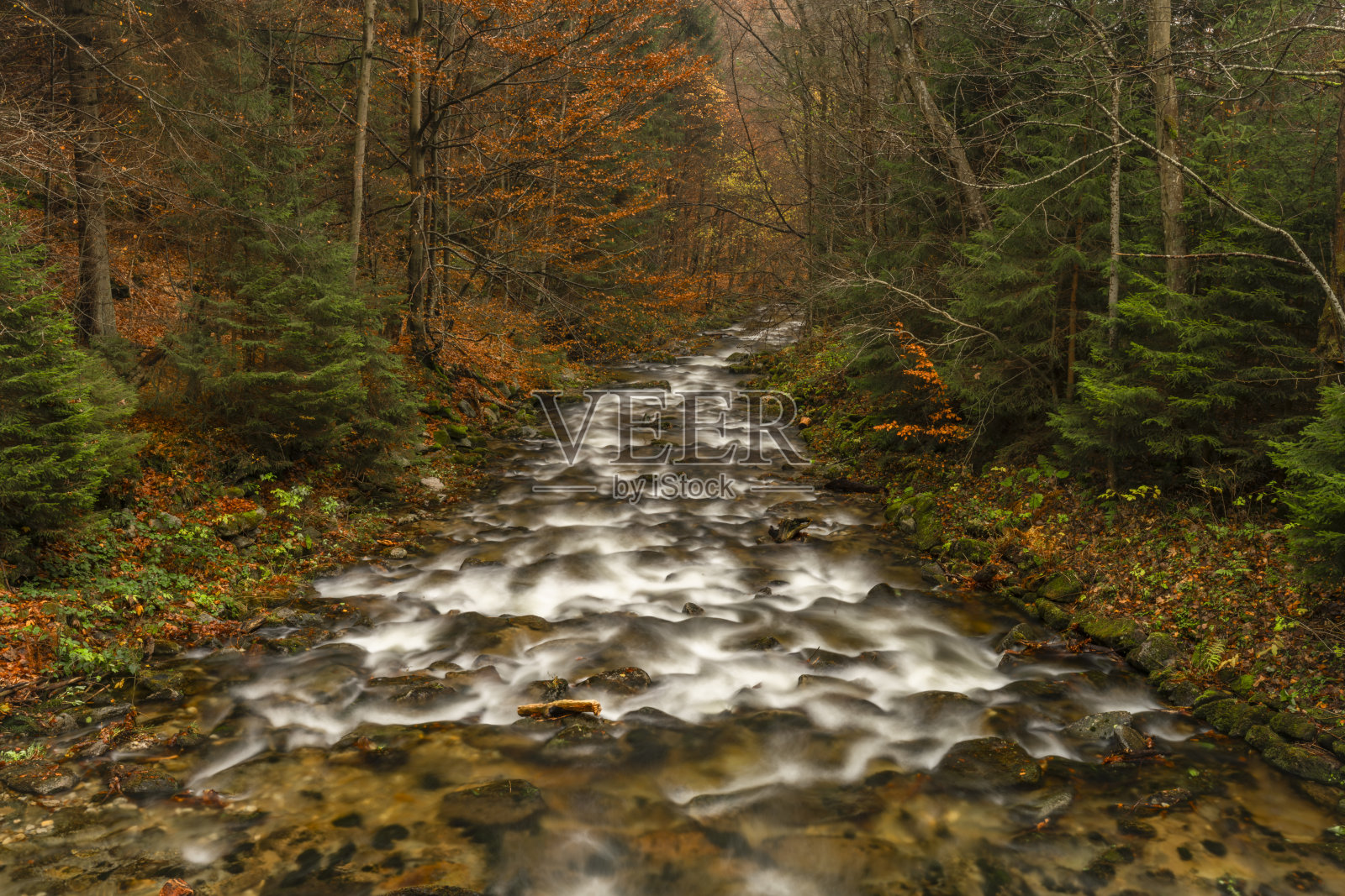 胡奇瓦·德斯纳河雨后的早晨靠近库蒂和德斯诺照片摄影图片