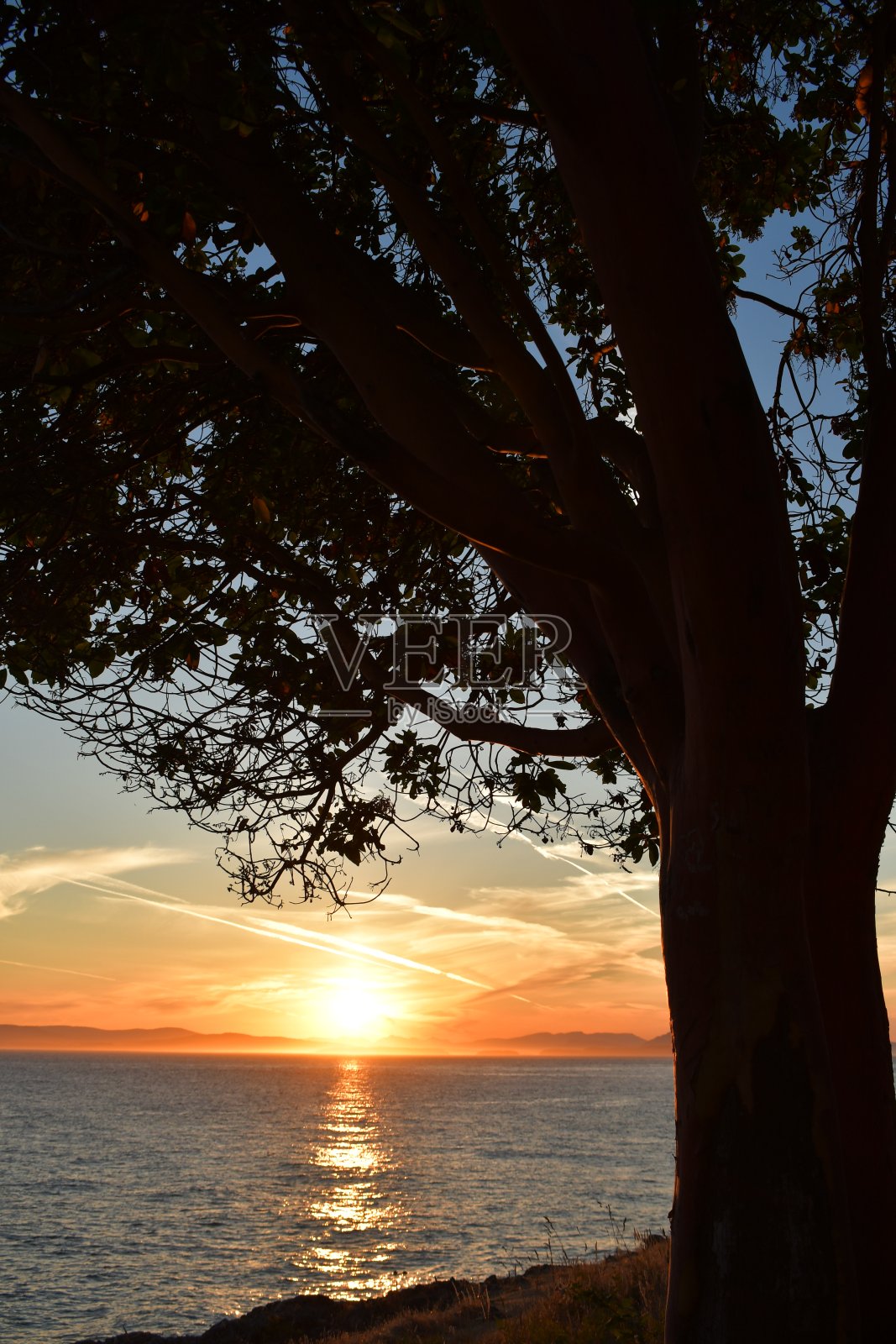 西区日落2号照片摄影图片