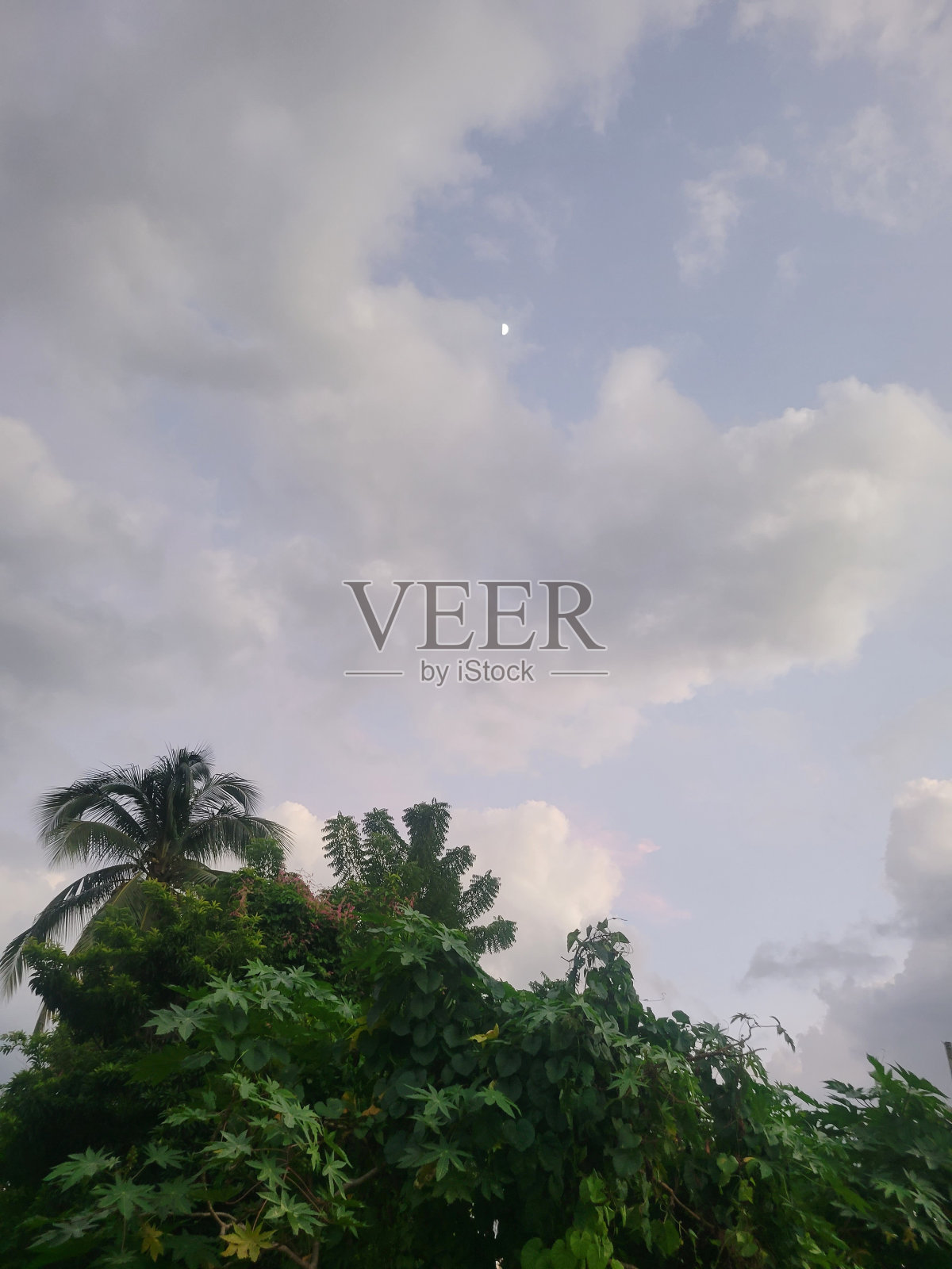 月亮照片摄影图片