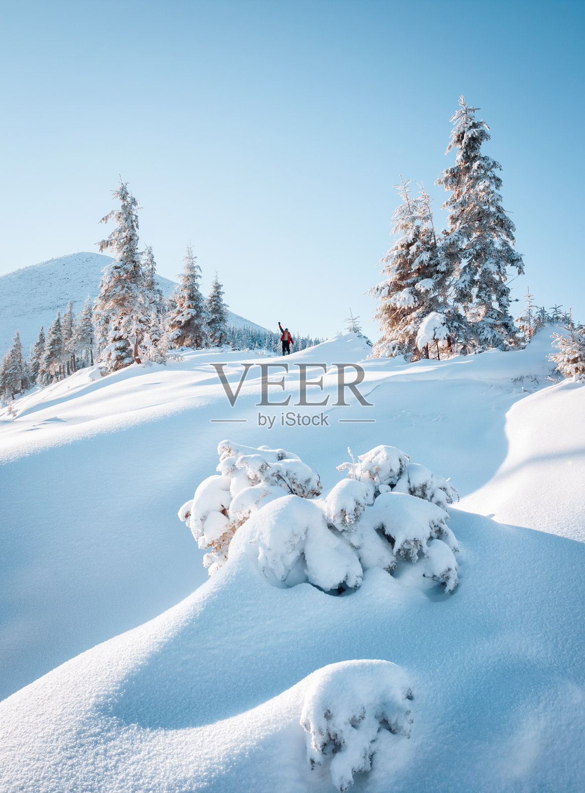 高山乡村的完美时刻。地点喀尔巴阡国家公园，乌克兰，欧洲。照片摄影图片