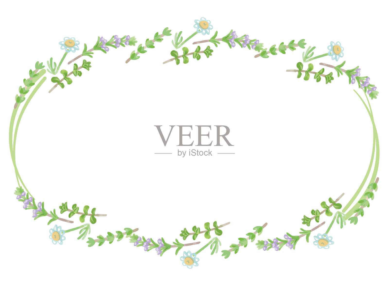 框架与水彩草药。矢量插图。插画图片素材