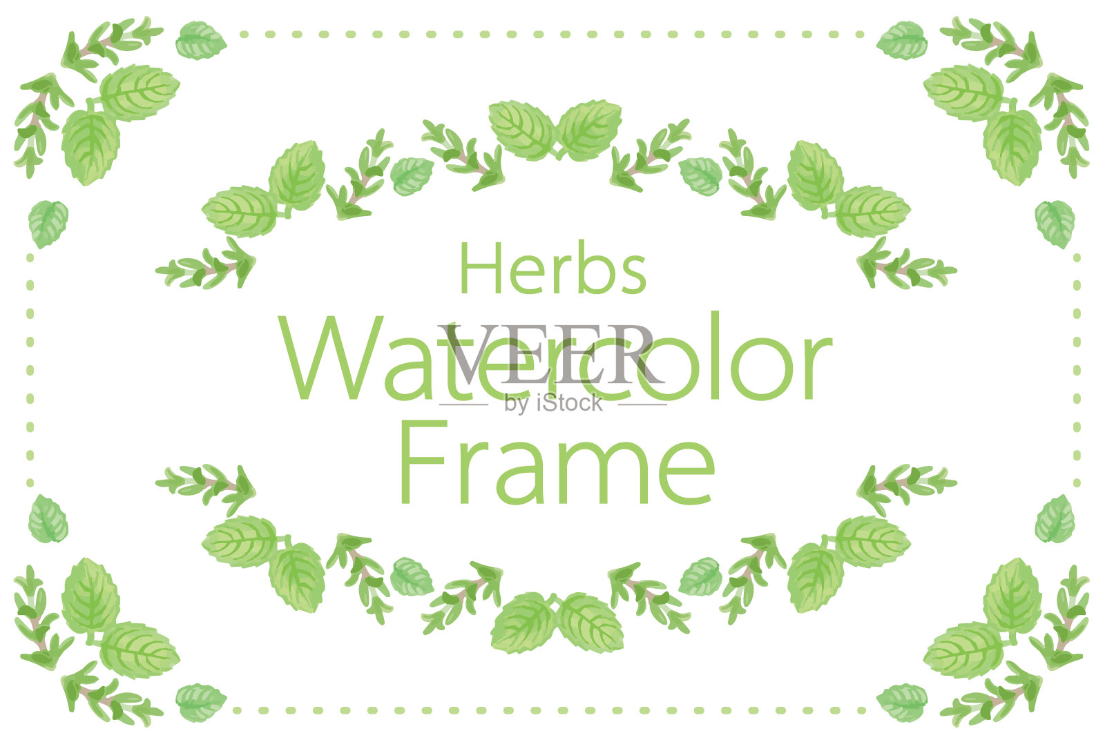 框架与水彩草药。矢量插图。插画图片素材