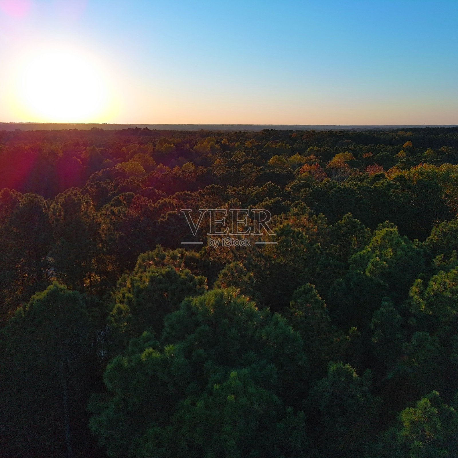 太阳落在前景有树木的大片树林上照片摄影图片