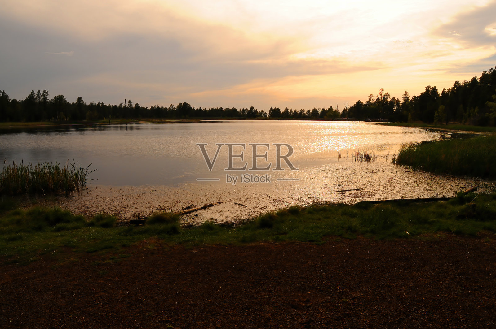 亚利桑那州的森林湖照片摄影图片