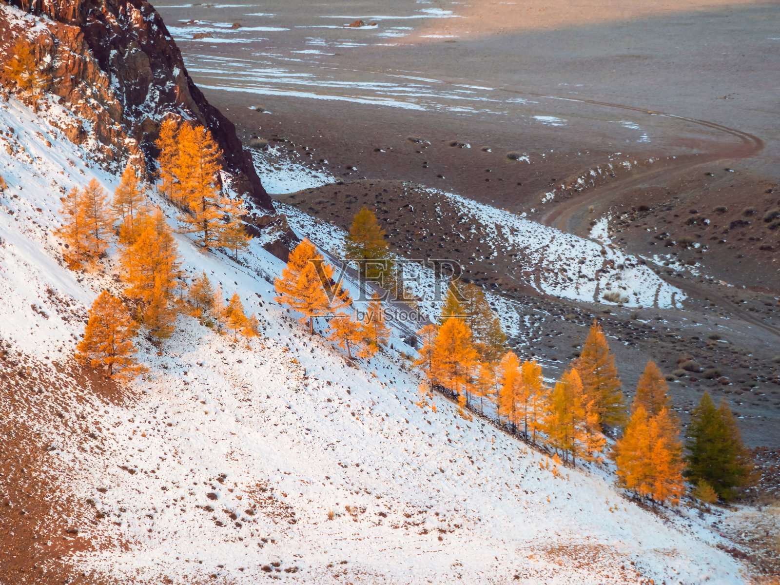 蔚蓝的天空下，阳光普照的雪山和雪山上，黄色的落叶松点缀着五彩缤纷的秋景。鲜艳的秋色笼罩着群山。天气好的时候，阳光和云的阴影。照片摄影图片