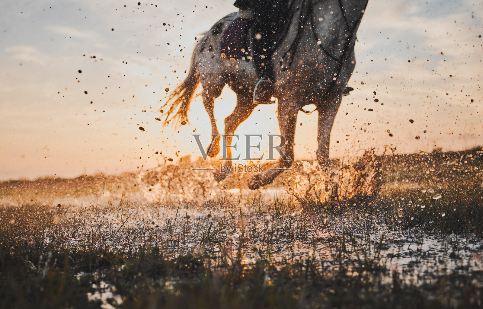 骑马，户外和水的冒险与日落为乐趣或旅行的特写。动物，奔跑和骑手与溅在大自然与溪流为旅行或爱好与种马在农村农场。照片摄影图片