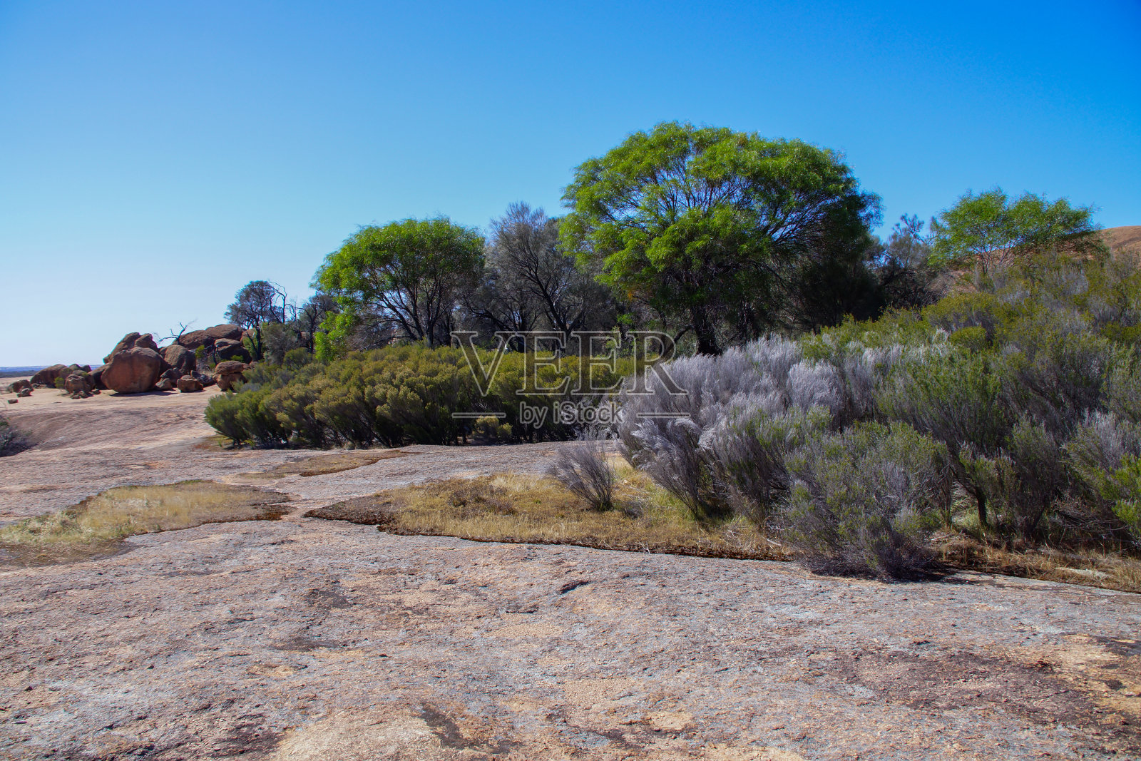 景观与灌木和树木生长在波浪岩，海登，西澳大利亚裸露的花岗岩照片摄影图片
