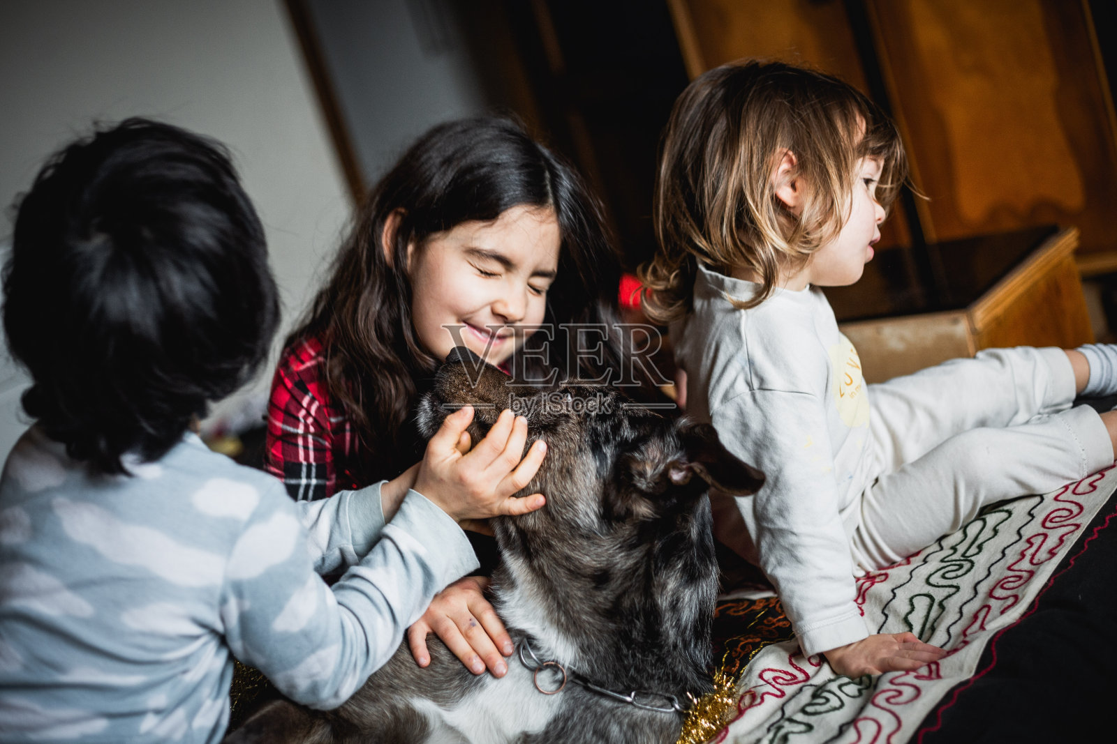 三个孩子坐在床上和他们的灰狗玩耍照片摄影图片