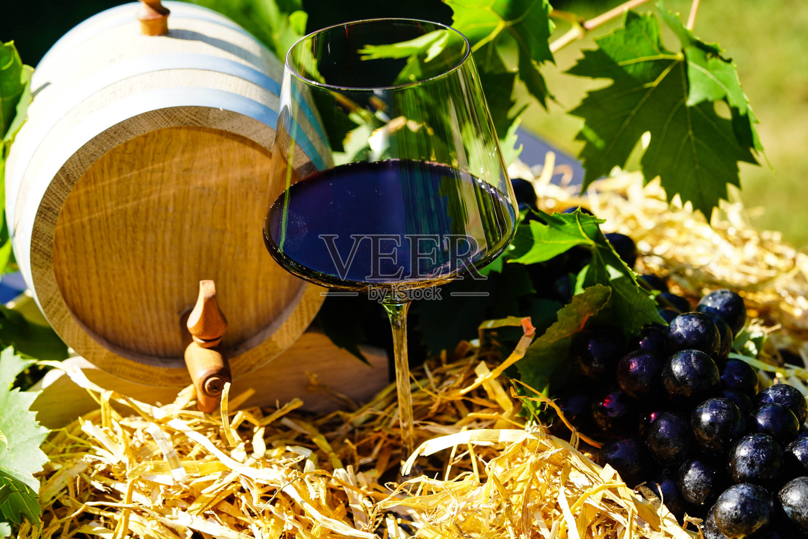 葡萄酒照片摄影图片