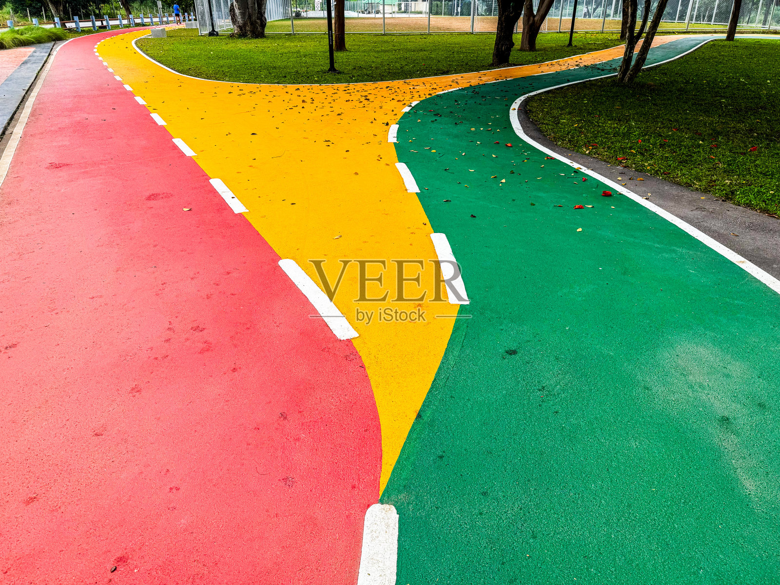 在公园散步照片摄影图片