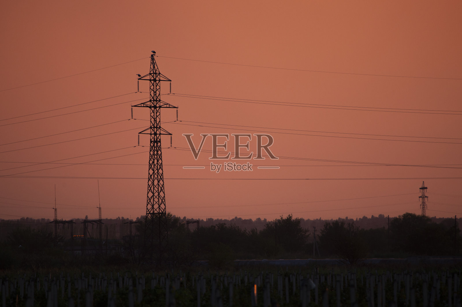 橘黄色天空下的输电塔照片摄影图片
