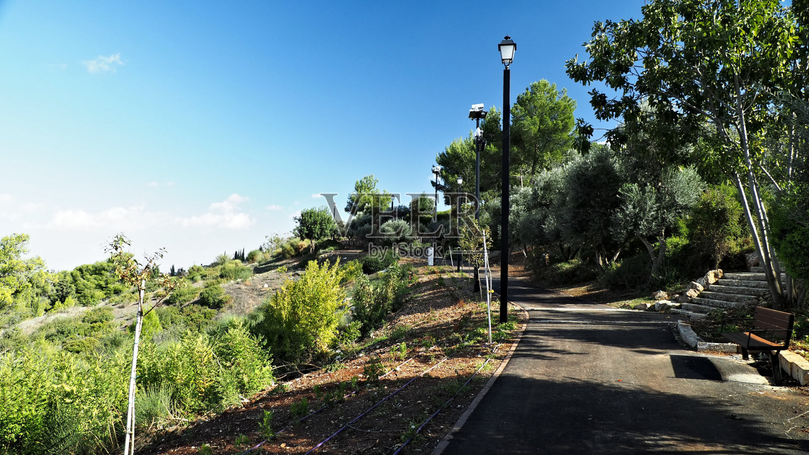 孤零零的长椅照片摄影图片