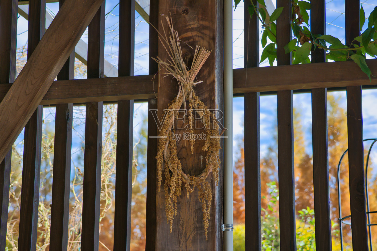 秋冬灵感干花环展示在墙上照片摄影图片