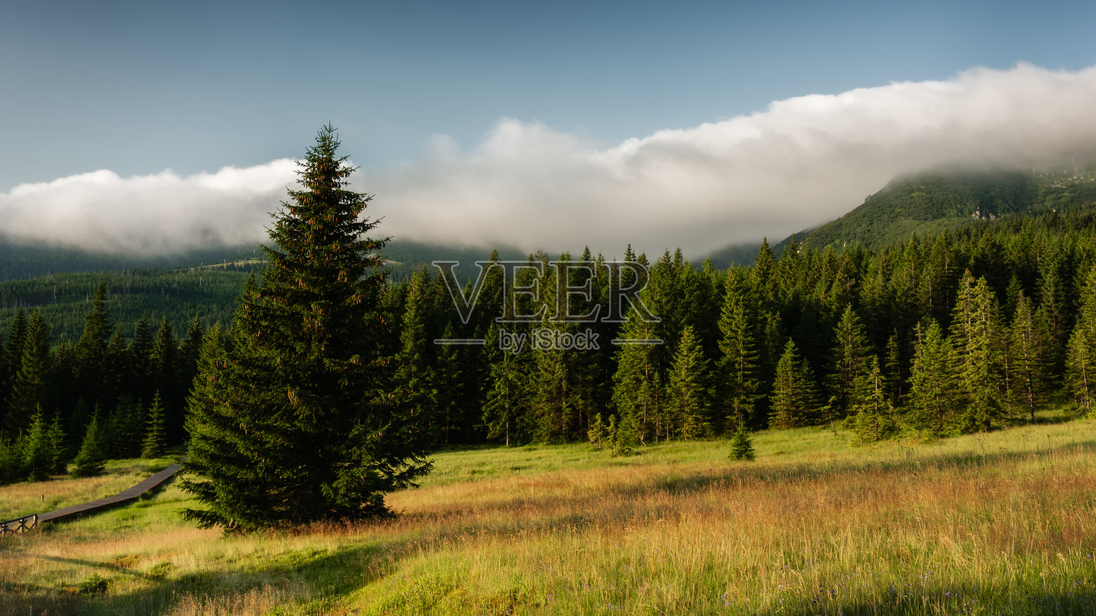 在通往卡尔科诺泽山脉最高峰的路上。照片摄影图片