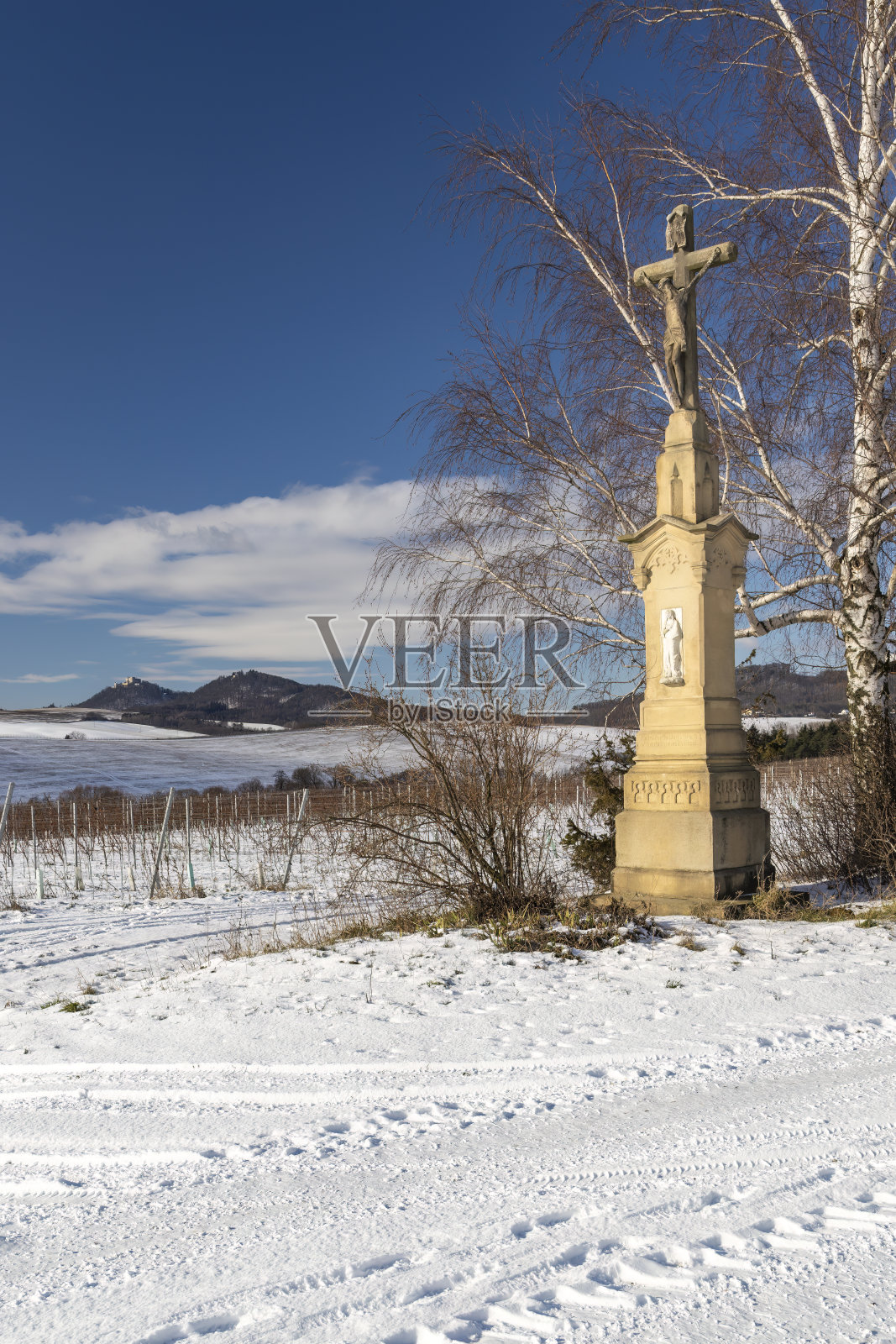 捷克共和国南部摩拉维亚斯洛伐克的葡萄园景观照片摄影图片