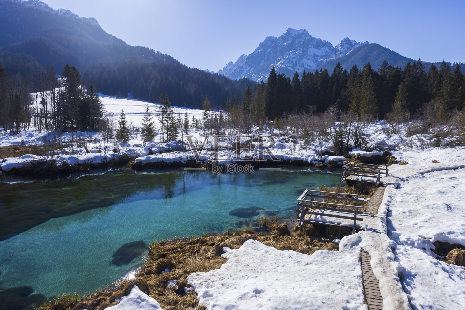 斯洛文尼亚泽伦西的冬季景观照片摄影图片