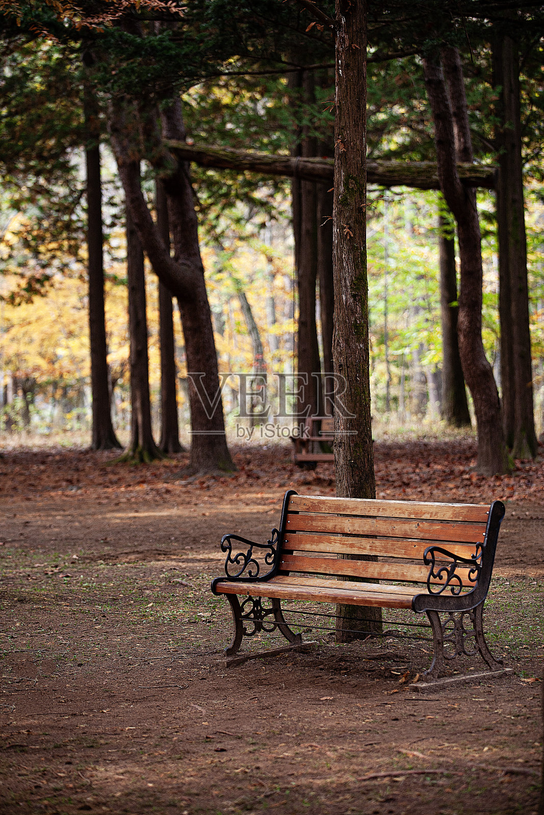 秋天的风景照片摄影图片