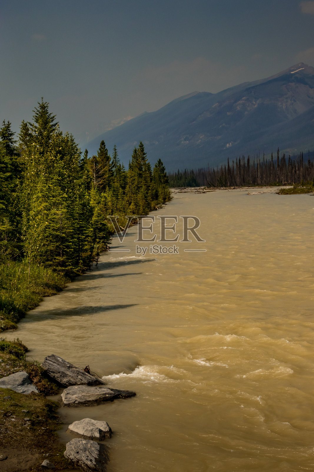 辛普森河在加拿大不列颠哥伦比亚省库特尼国家公园上下流动照片摄影图片