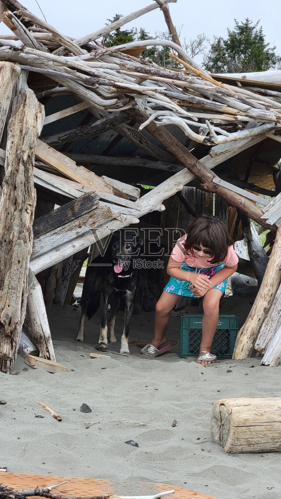 海滩堡的小女孩和阿拉斯加哈士奇狗照片摄影图片