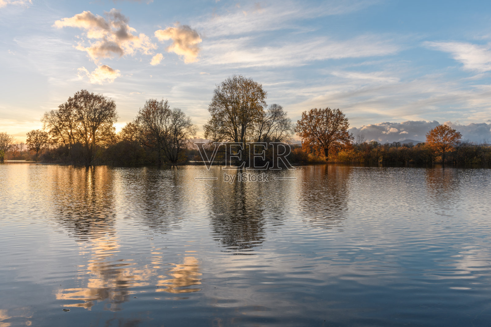 大雨过后，树木倒映在被水淹没的草地上。秋天的风景。照片摄影图片