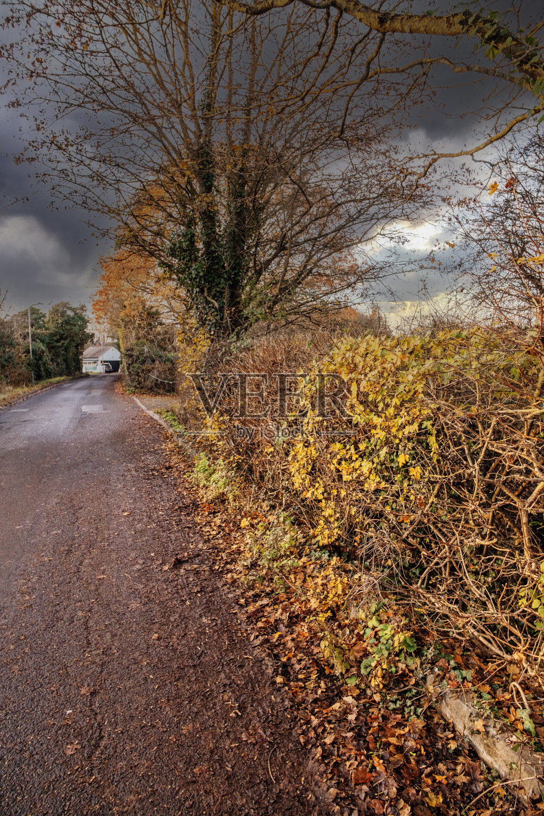 漫步步道，秋日自然，户外景观环境优美照片摄影图片